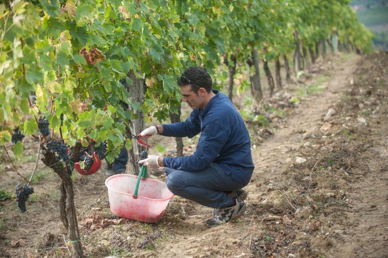 La Valletta Boutique Wine Estate Panzano in Chianti ภายนอก รูปภาพ